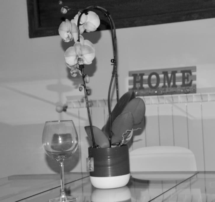 Brand New Apartamento Florencia